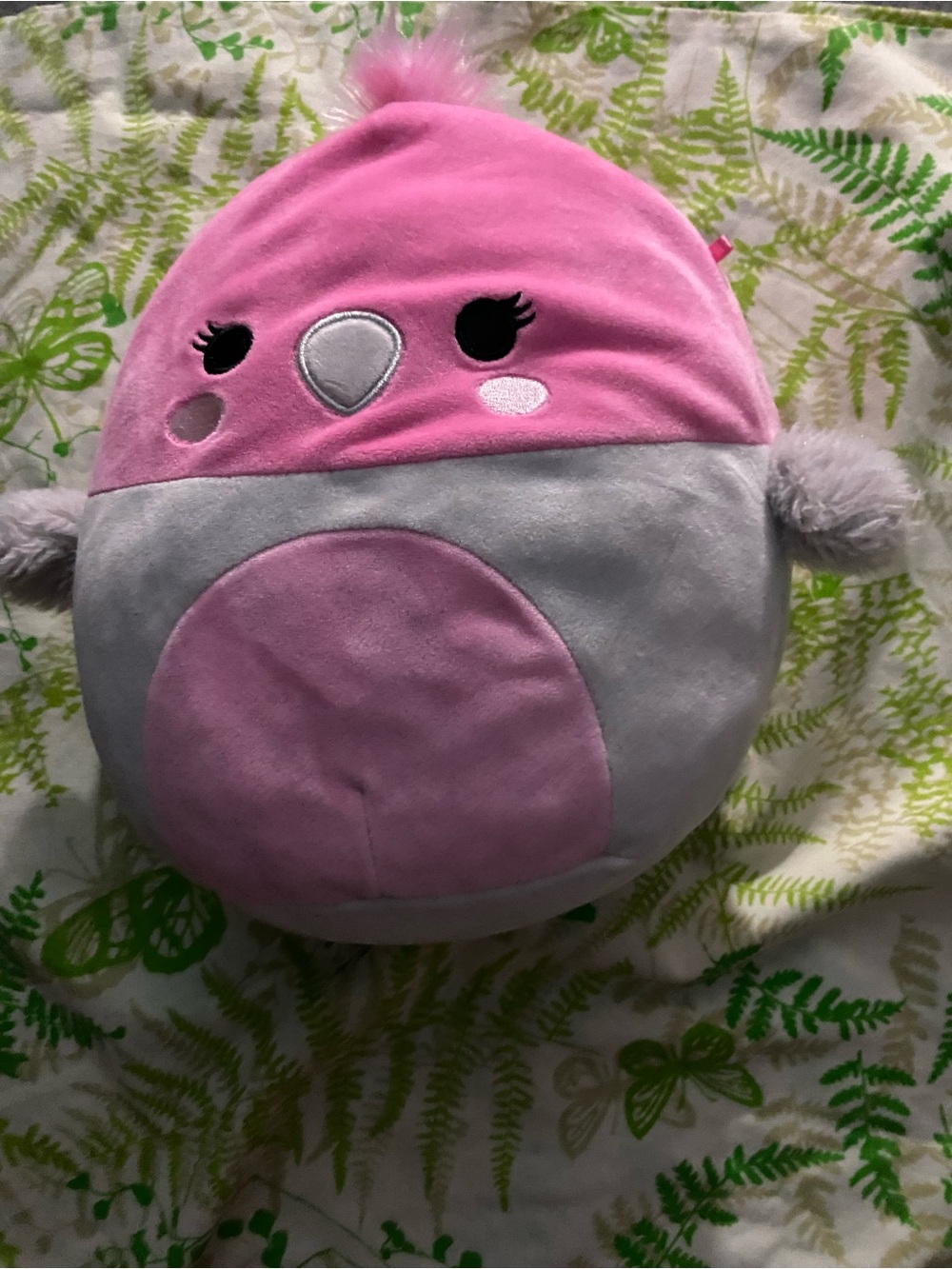 Jalya the galah Squishmallow